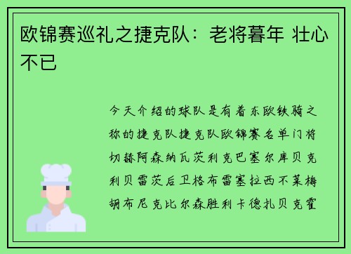 欧锦赛巡礼之捷克队:老将暮年 壮心不已