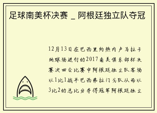 足球南美杯决赛 _ 阿根廷独立队夺冠